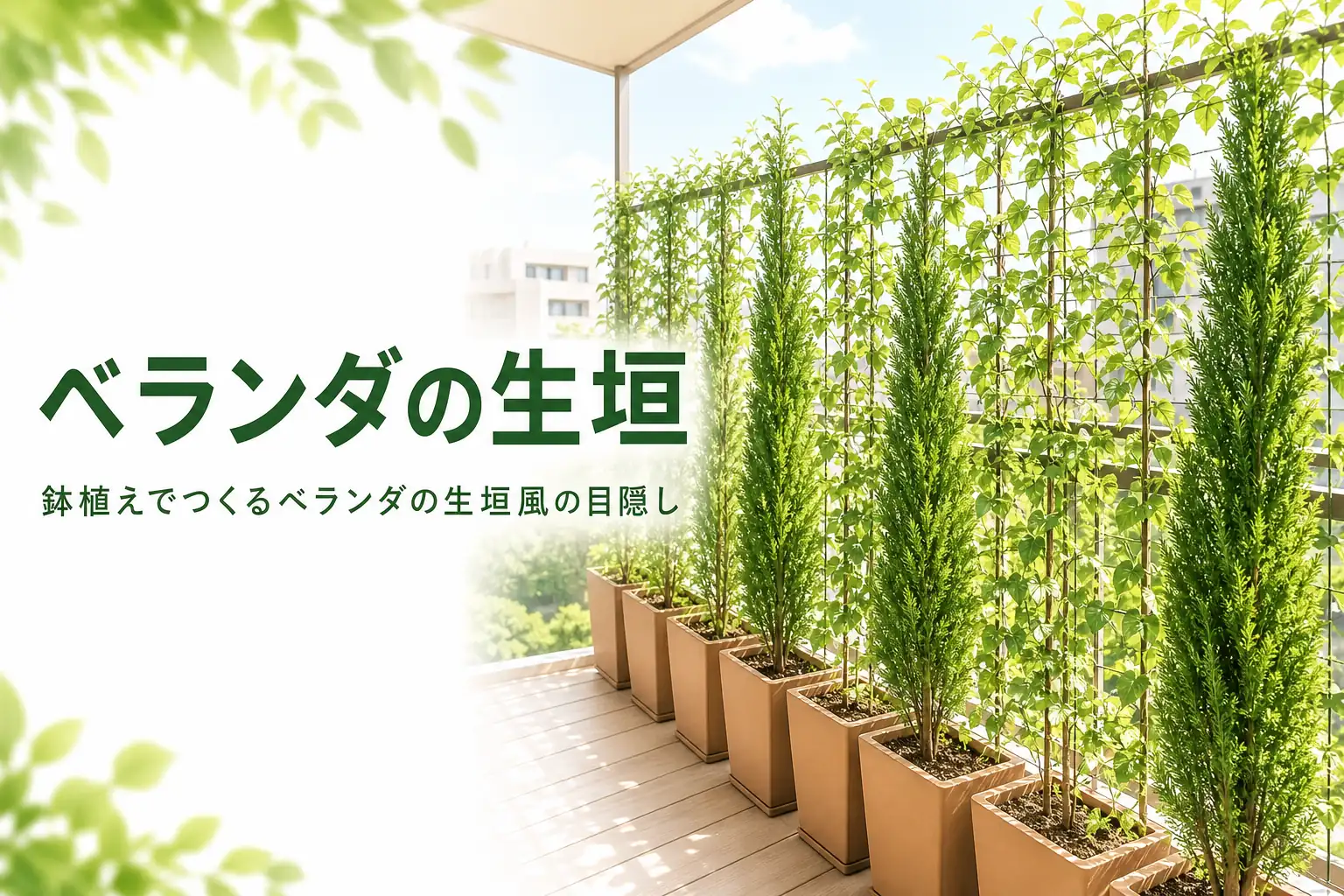 ベランダで鉢植えの木を並べてつくる生垣風の目隠しを解説する記事のアイキャッチ