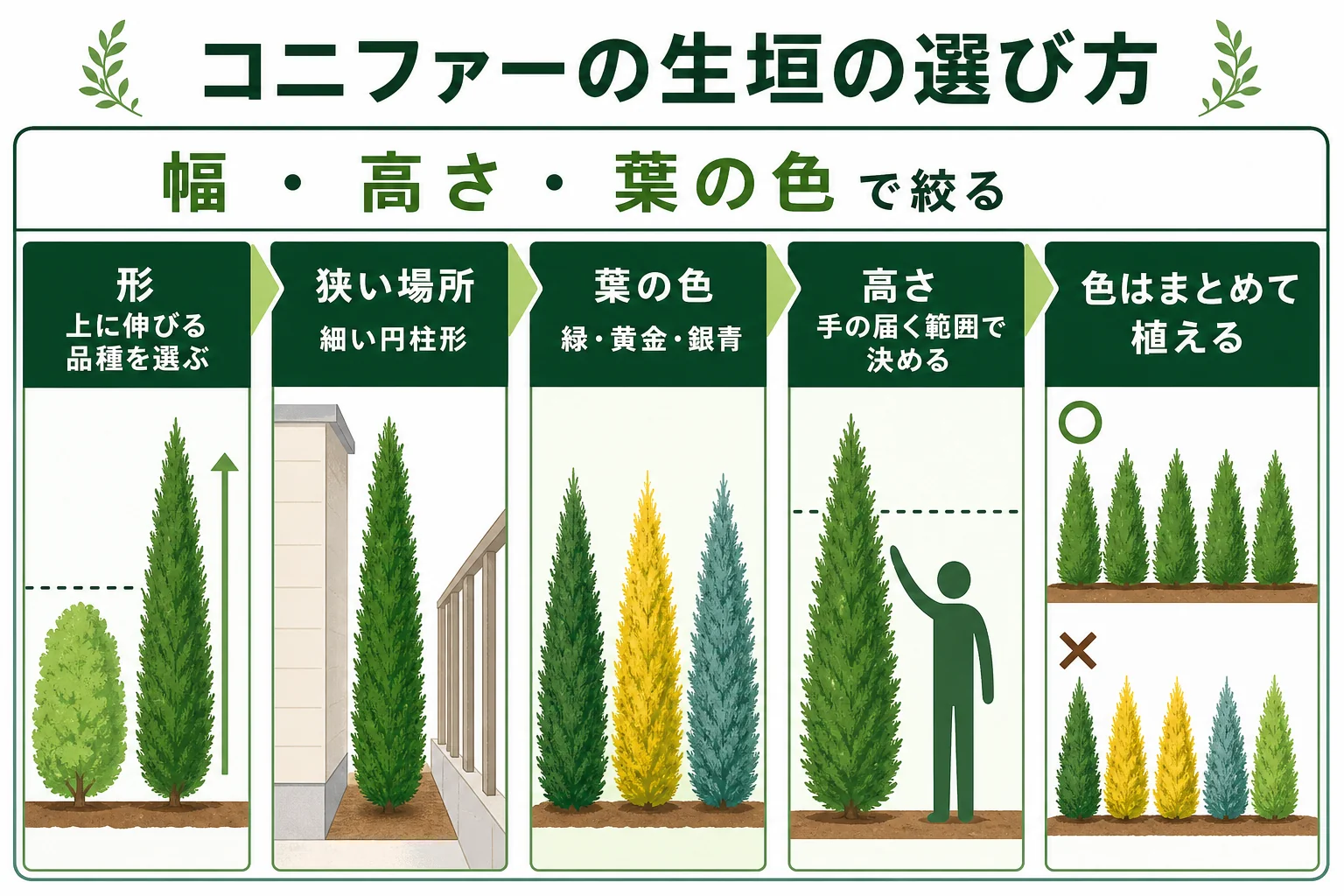 コニファーの生垣を選ぶ時の3つの基準として、植える場所の幅・目隠しの高さ・葉の色を並べた図解