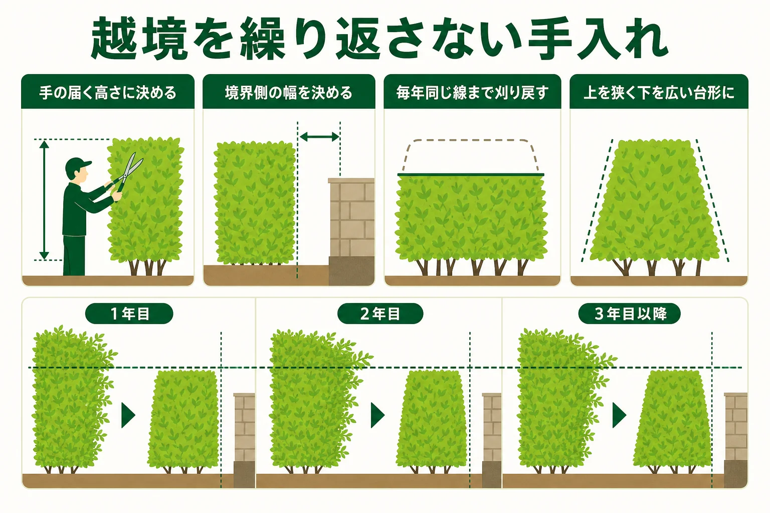 生垣の越境を防ぐために、高さと幅を決めて毎年同じ線まで刈り戻し、台形に整える考え方を示した図解