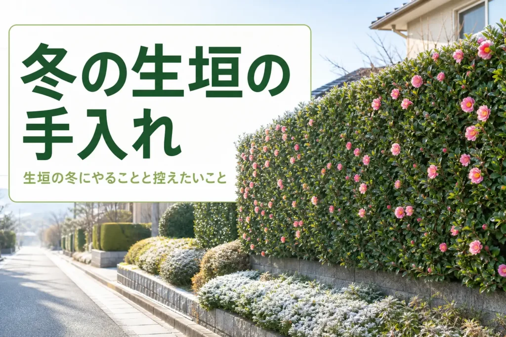 冬の生垣の寒さ対策と冬にできる手入れを解説する記事のアイキャッチ