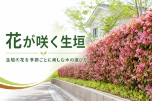 季節ごとに咲く花の生垣の木と選び方を解説する記事のアイキャッチ