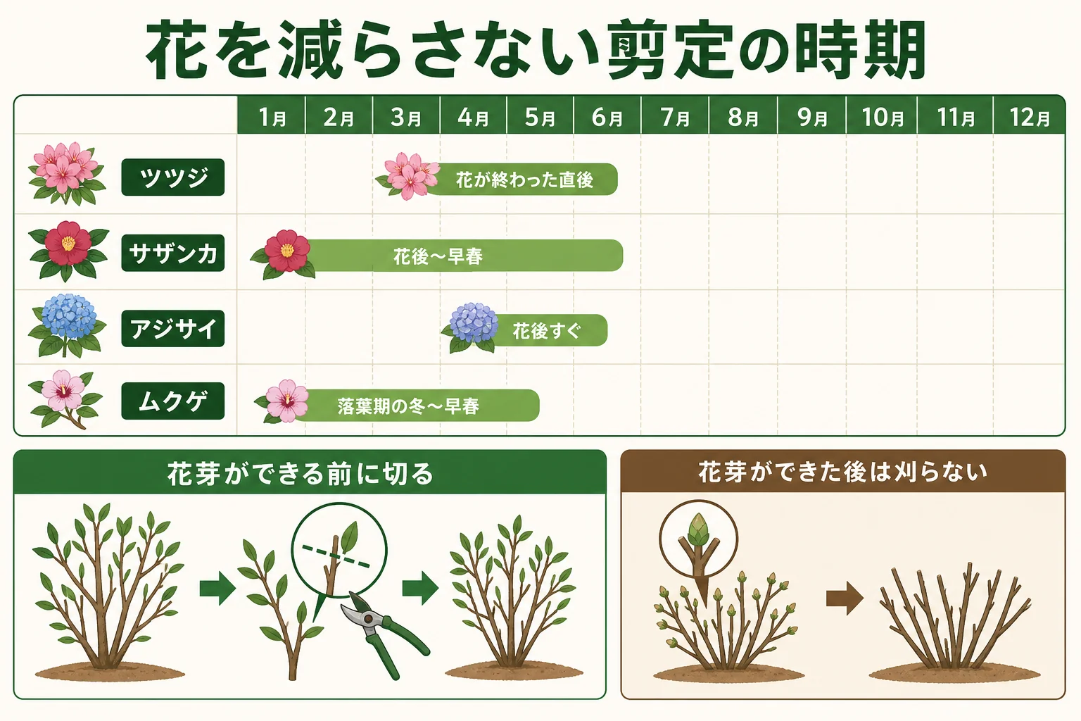 花木ごとに花芽ができる時期と剪定してよい時期・避けたい時期を示した図解