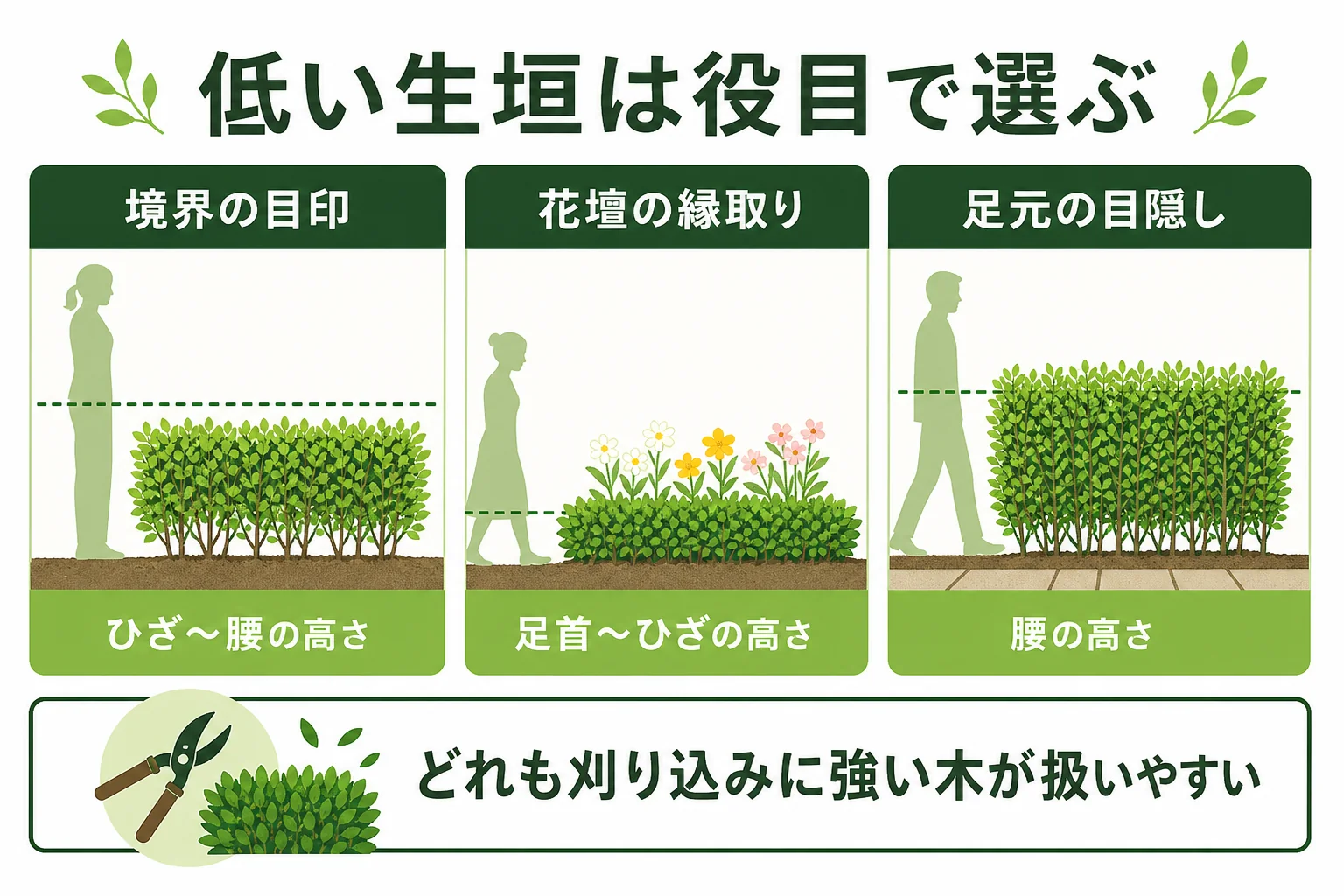 低い生垣の役目を、境界の目印・花壇の縁取り・足元の目隠しの3つに分け、それぞれに合う高さの考え方と木の例を示した図解