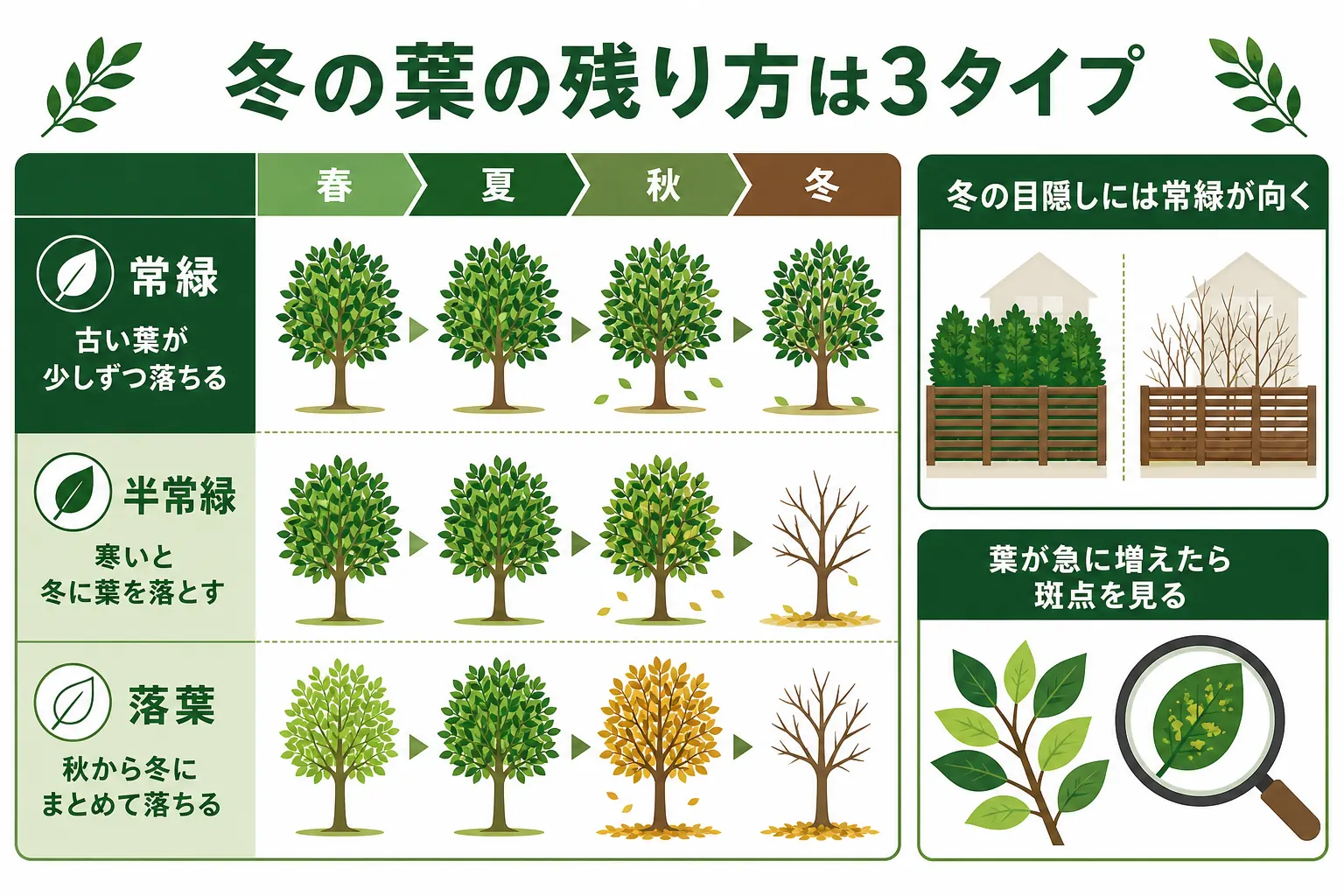 生垣の木を常緑・半常緑・落葉の3つに分け、冬の葉の残り方と落ち葉の出方の違いを示した図解