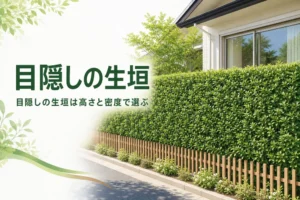 目隠しの生垣の高さと密度の考え方を解説する記事のアイキャッチ