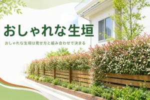 おしゃれな生垣の見せ方と組み合わせ方を解説する記事のアイキャッチ