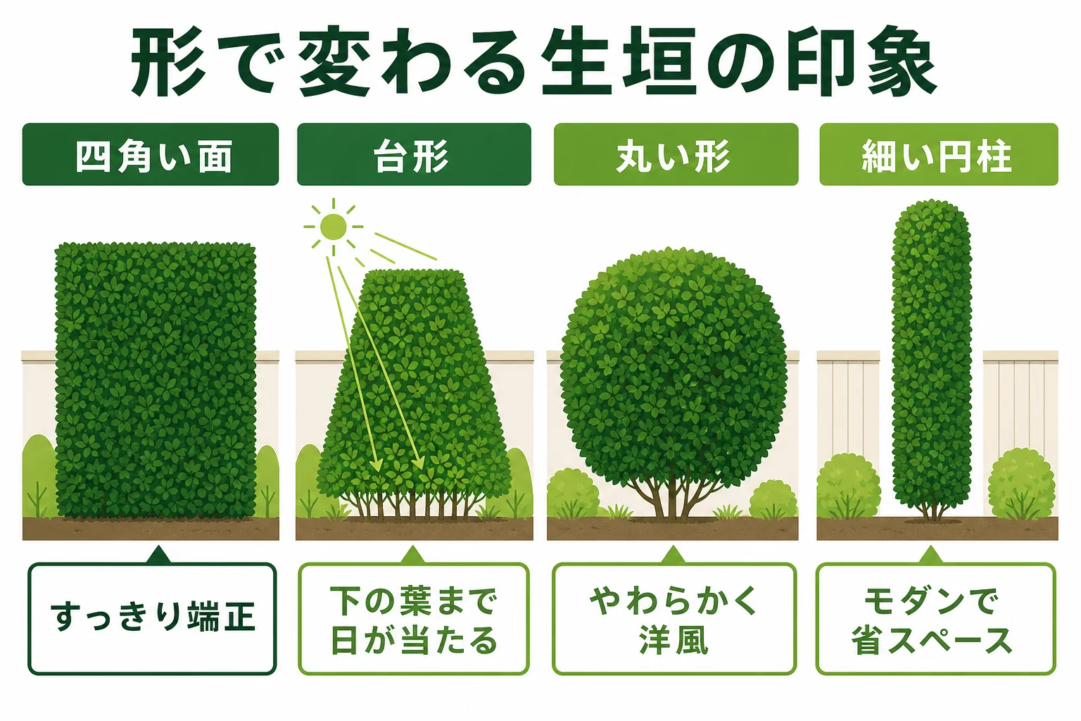 生垣の形を四角い面・台形・丸く刈り込んだ形・細い円柱形の4つに分け、それぞれの印象を示した図解