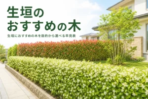 生垣におすすめの木を目的別に選ぶ方法を解説する記事のアイキャッチ