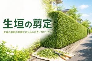 生垣の剪定の時期と刈り込みのやり方を解説する記事のアイキャッチ