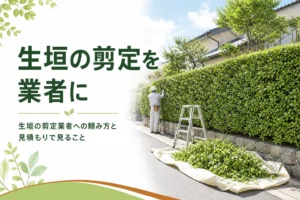 生垣の剪定を業者に頼む流れと見積もりで見ることを解説する記事のアイキャッチ