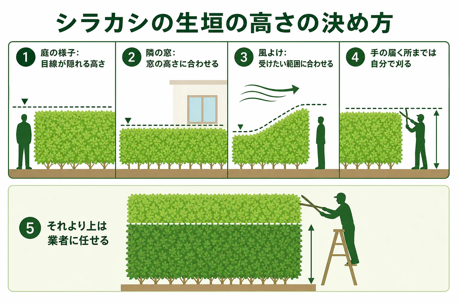 シラカシの生垣の高さを、隠したいものと手入れする人の組み合わせで決める考え方を示した図解