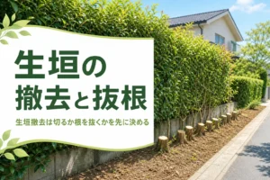 生垣撤去と抜根の考え方を解説する記事のアイキャッチ