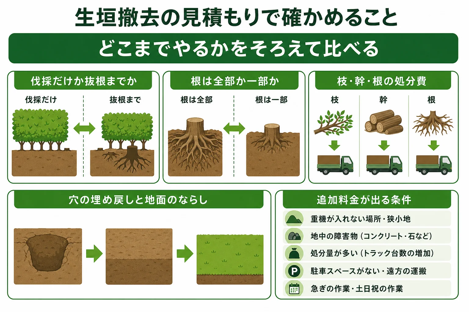 生垣撤去の見積もりで、伐採・抜根・処分・地面の整えなど確認したい項目を並べた図解