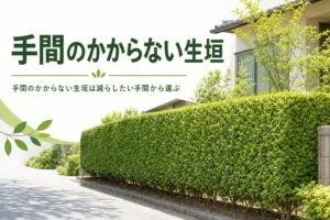 手間のかからない生垣の選び方と育てやすい木の条件を解説する記事のアイキャッチ