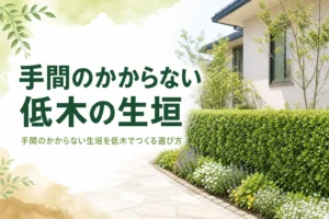 手間のかからない低木の生垣の選び方を解説する記事のアイキャッチ