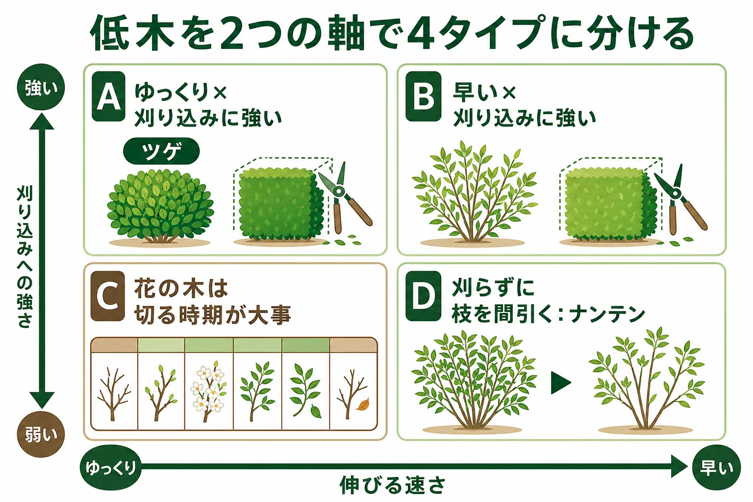 低木を伸びる速さと刈り込みへの強さの2軸で4つのタイプに分け、それぞれの代表的な木と手間の特徴を示した図解