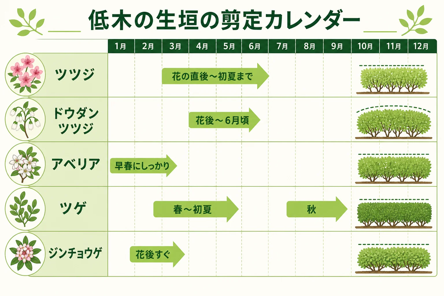 低木の生垣でよく使われる木の剪定の時期の目安を、季節ごとに並べたカレンダーの図解