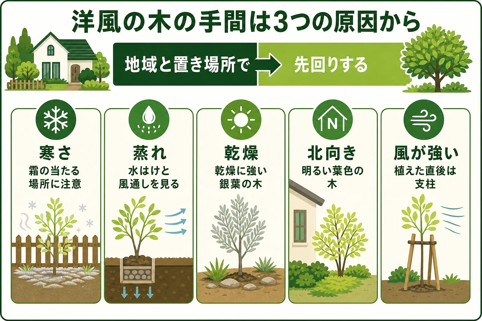 洋風の生垣で手間が増える原因を寒さ・蒸れ・乾燥に分け、それぞれ地域と置き場所から先回りする方法を示した図解