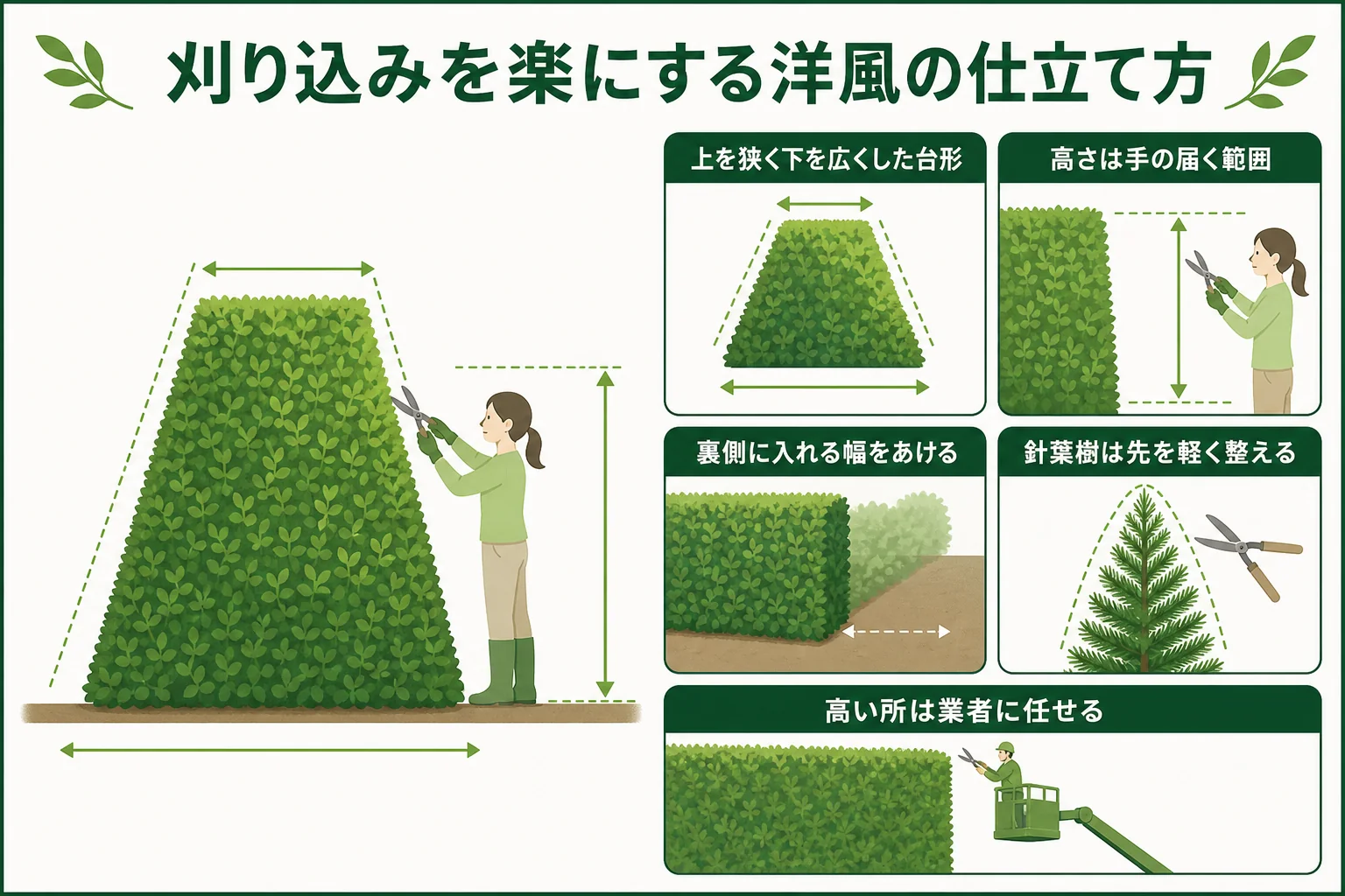 手間のかからない洋風の生垣を手の届く高さで台形に刈り込み、足元をすっきりさせた仕立て方を示した図解