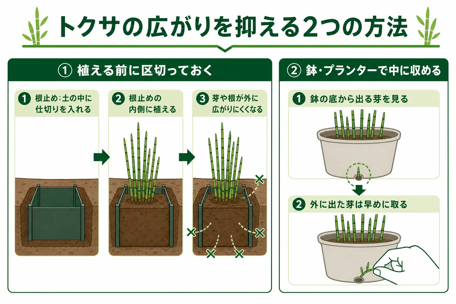 トクサの広がりを抑える方法として、地面に根止めを入れて区切る植え方と、鉢・プランターで育てる方法を並べた図解